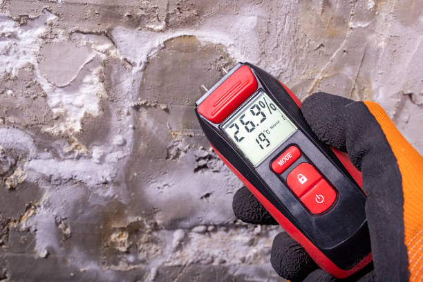 Best Water Damage Restoration  in Caoncito, NM