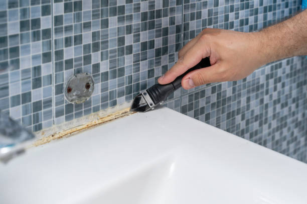 Best Emergency Mold Removal  in Caoncito, NM